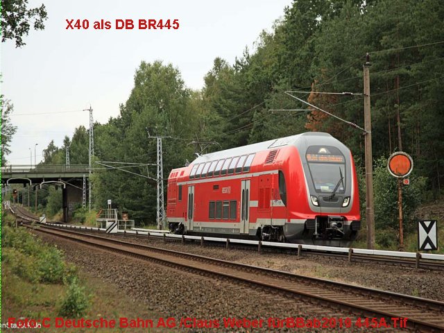 Bauberichte ab 2019 - Seite 2 445A