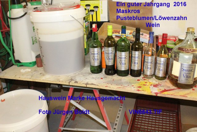 Reisebericht Herbst 2017 Vin66410